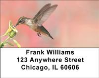 Feeding Hummingbirds Address Labels