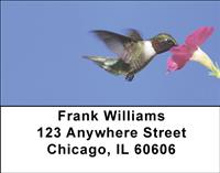 Feeding Hummingbirds Address Labels