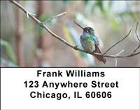 Resting Hummingbirds Address Labels