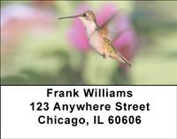 Hummingbirds In Flight Address Labels