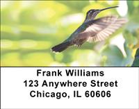 Hummingbirds In Flight Address Labels