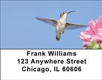 Hummingbirds In Flight Address Labels