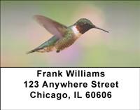 Hummingbirds In Flight Address Labels