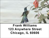 Colibri Hummingbirds Address Labels
