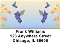 Pretty Hummingbirds Address Labels