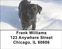 Black Labs In The Snow Address Labels