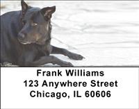 Black Labs In The Snow Address Labels