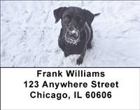 Black Labs In The Snow Address Labels
