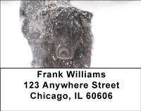Black Labs In The Snow Address Labels
