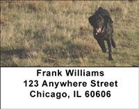 Running Black Labs Address Labels