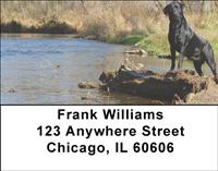 Black Labradors Lakeside Address Labels