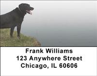 Black Labradors Lakeside Address Labels