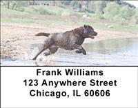 Black Labradors Lakeside Address Labels