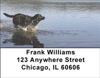 Black Labradors Lakeside Address Labels