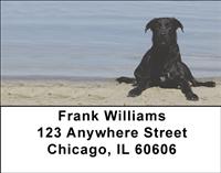 Black Labs On The Shore Address Labels