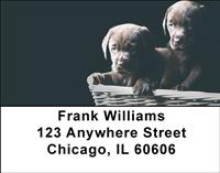Black Lab Puppies Address Labels