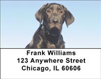Black Labs Address Labels