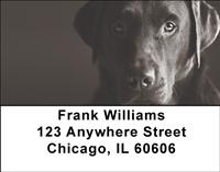 Black Labs Address Labels