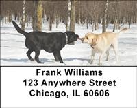 Labrador Tug-of-War Address Labels
