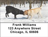 Labrador Tug-of-War Address Labels