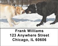 Labrador Tug-of-War Address Labels