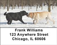 Labrador Tug-of-War Address Labels