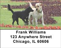 Labradors And Friends Address Labels