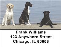 Labradors And Friends Address Labels