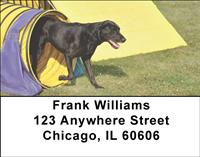 Sporty Black Labs Address Labels