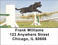 Sporty Black Labs Address Labels