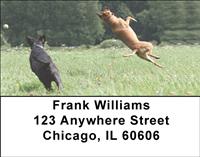 Sporty Black Labs Address Labels