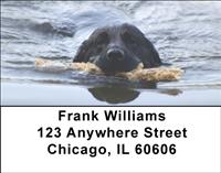 Black Labs At The Beach Address Labels