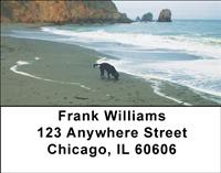 Black Labs At The Beach Address Labels