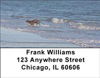 Black Labs At The Beach Address Labels