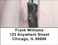 Cuddly Black Labs Address Labels