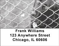 Cuddly Black Labs Address Labels