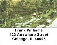 Rice Terraces Address Labels
