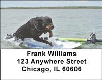 Rottweilers At The Beach Address Labels