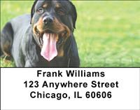 Playful Rottweilers Address Labels