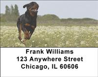 Playful Rottweilers Address Labels
