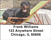 Rottweilers Relaxing Address Labels
