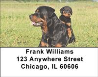 Rotts and Little Friends Address Labels