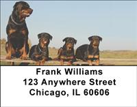 Rotts and Little Friends Address Labels