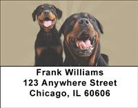 Rotts and Little Friends Address Labels