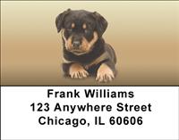 Rottweiler Puppies Address Labels