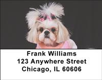Stylish Shih Tzus Address Labels