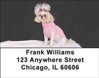 Stylish Shih Tzus Address Labels