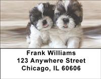 Shih Tzu Buddies Address Labels