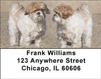 Shih Tzu Buddies Address Labels