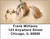 Shih Tzu Buddies Address Labels